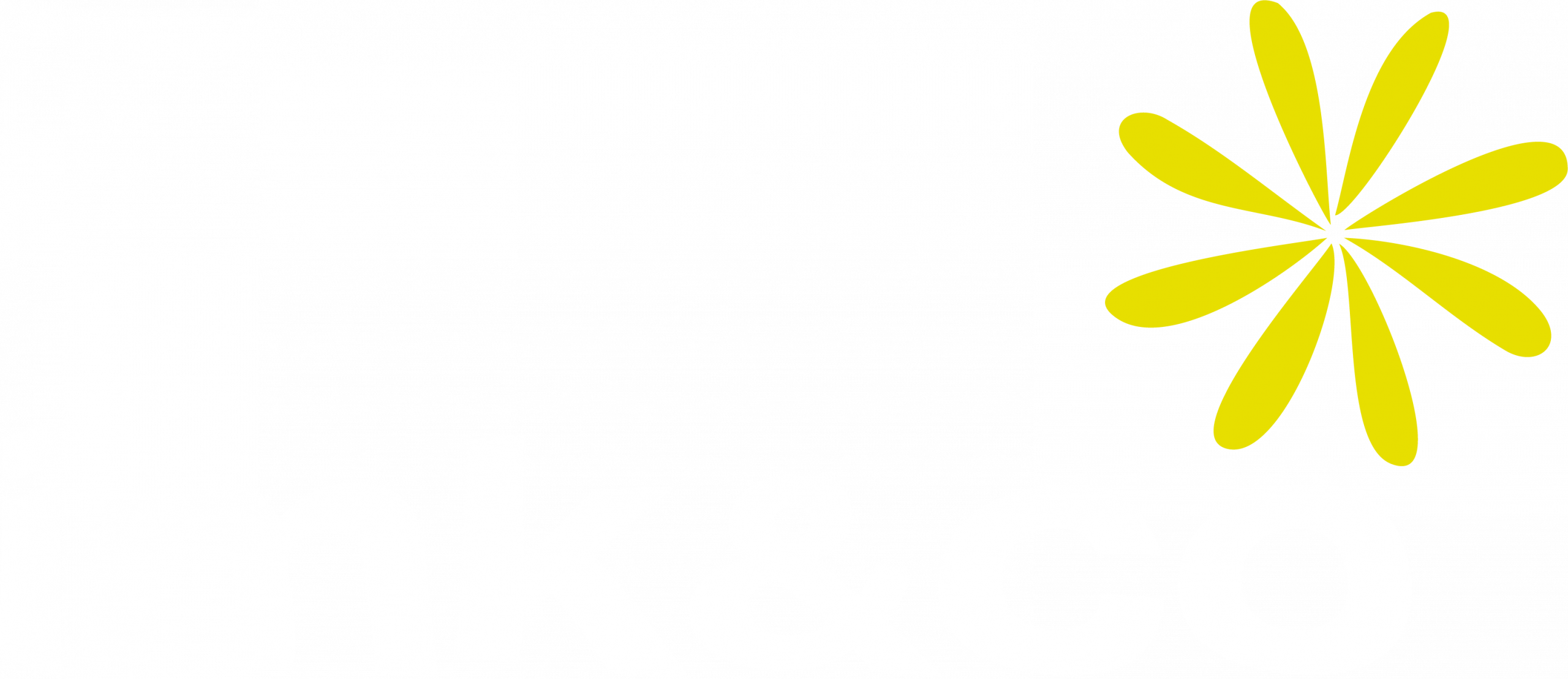 imk&co Agence conseil en communication en Alsace